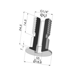 Vis G1/4" - ØTête 19MM - L 24.5MM